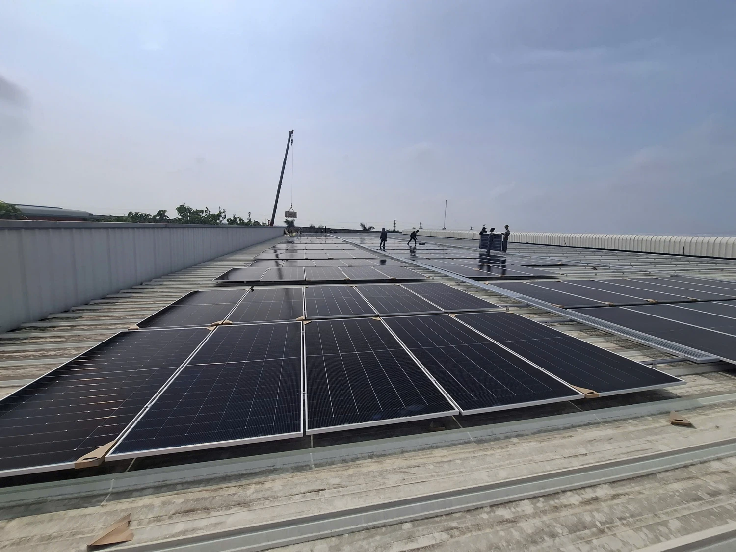 Dự án điện mặt trời 1.5MWP - Nhà Máy Tecomen